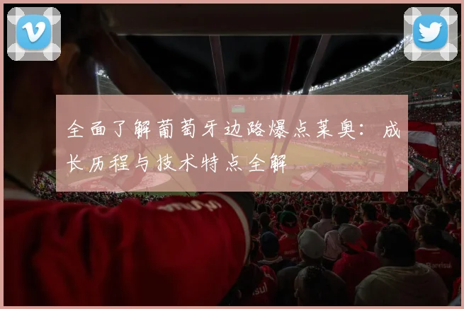全面了解葡萄牙边路爆点莱奥：成长历程与技术特点全解