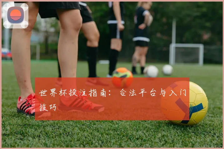 世界杯投注指南：合法平台与入门技巧