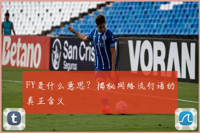 FY是什么意思?揭秘网络流行语的真正含义