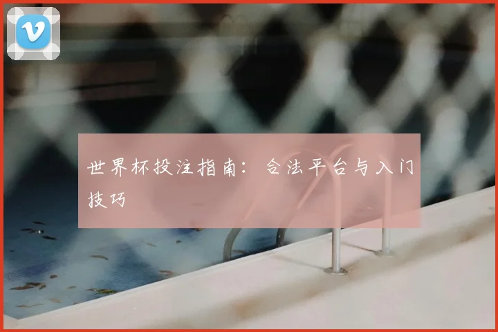 世界杯投注指南:合法平台与入门技巧
